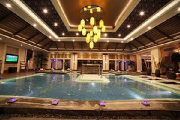 成都抚琴夜市：养生休闲好去处(成都抚琴有耍的吗)